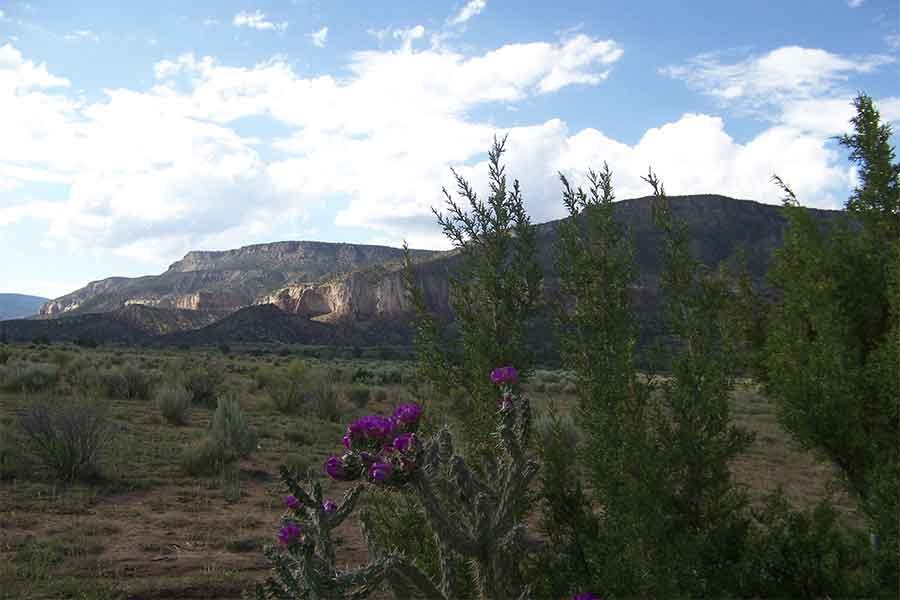 Vision Quest Aldo Leopold Wildnerness, NM