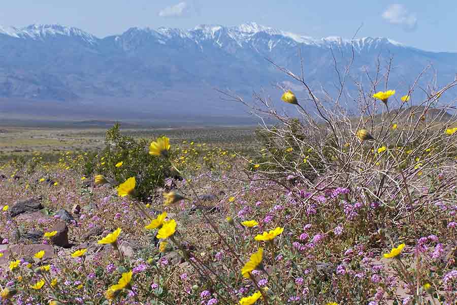 Vision Quest, Death Valley